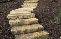 Black Hills Rustic Steps