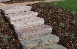 Chilton steps