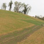 Extended Term Erosion Control Blankets