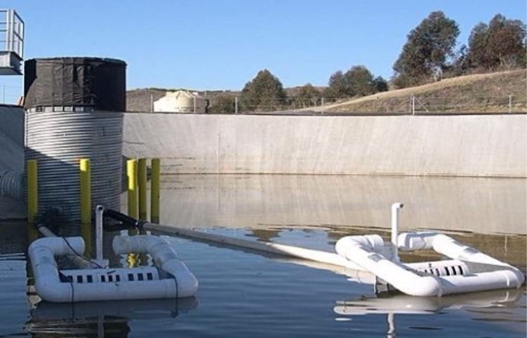 Faircloth Skimmer