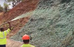 Biotic Soil Media