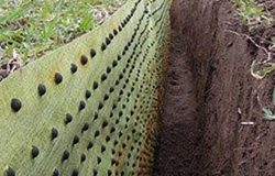 Root barrier
